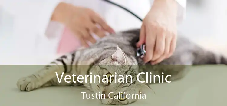 Veterinarian Clinic Tustin California