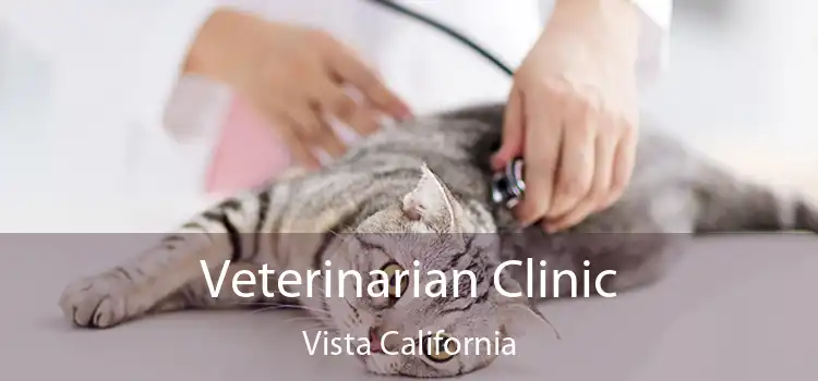 Veterinarian Clinic Vista California